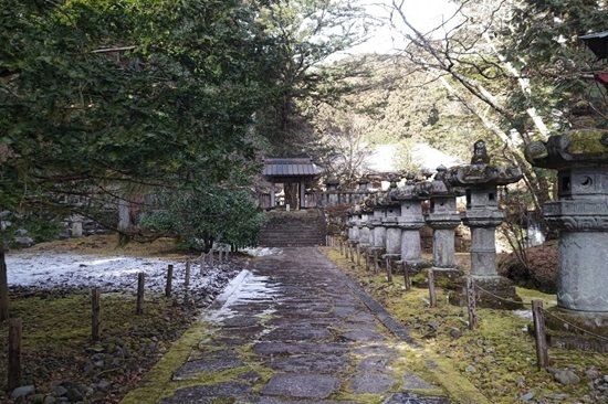 DSC_3397.JPG
